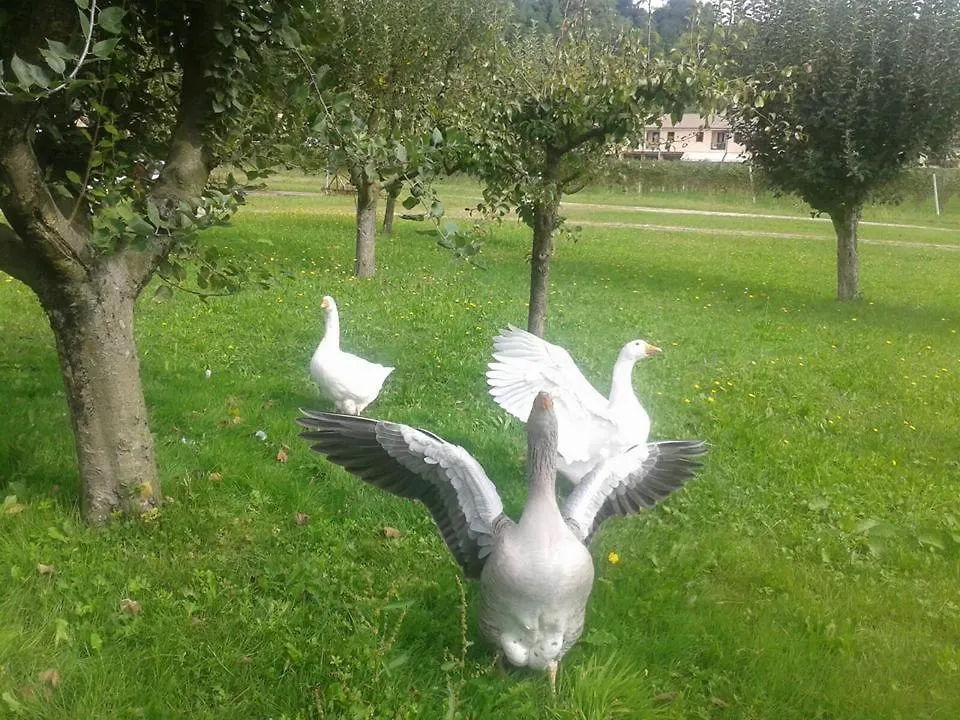 Agriturismo La Bella Villa Follina